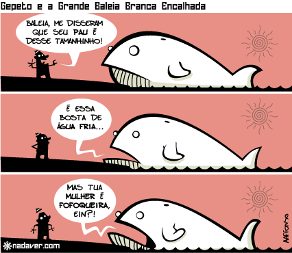 baleia pau