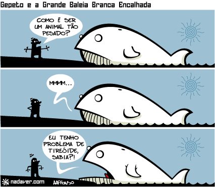 baleia4