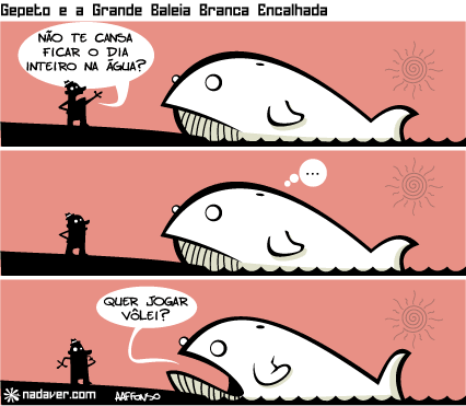 baleia6