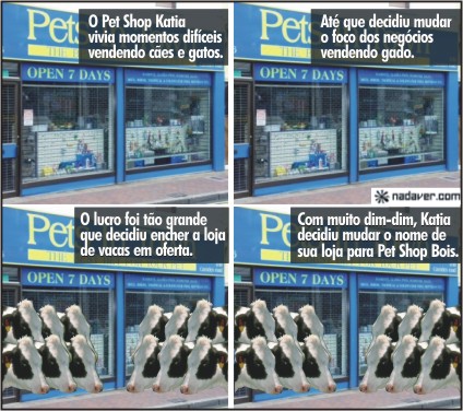 pet-shop-export.jpg