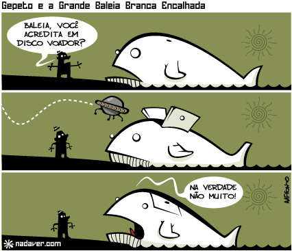 baleia8