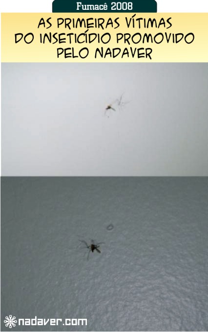 mosquitos-exterminados.jpg